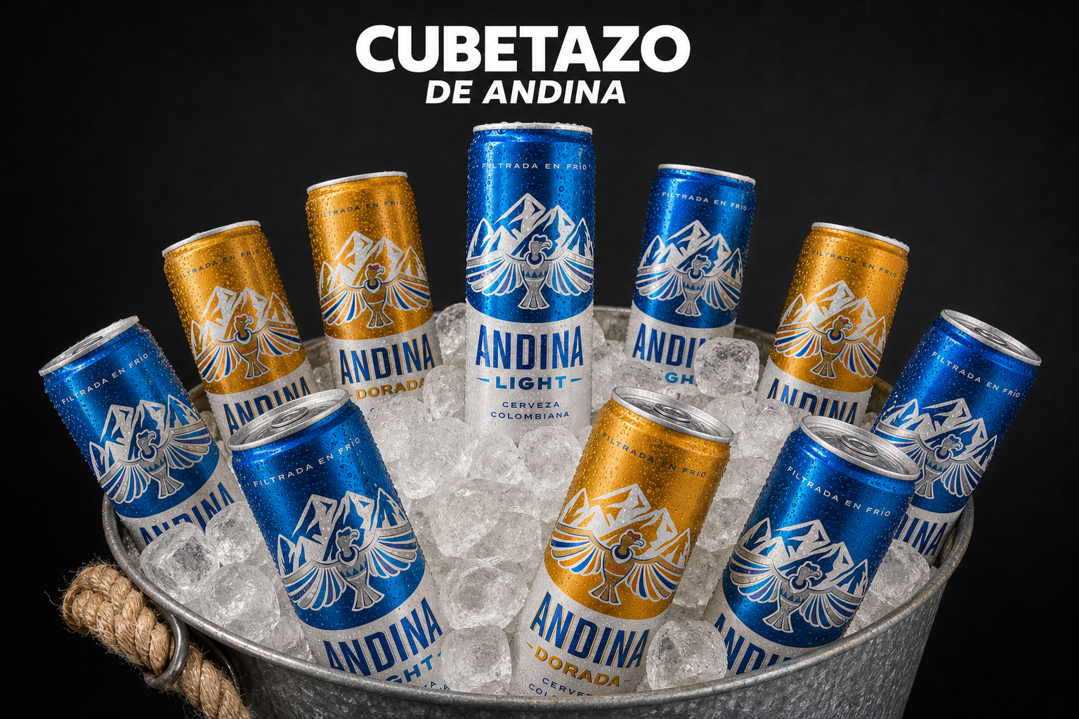 Andina x10