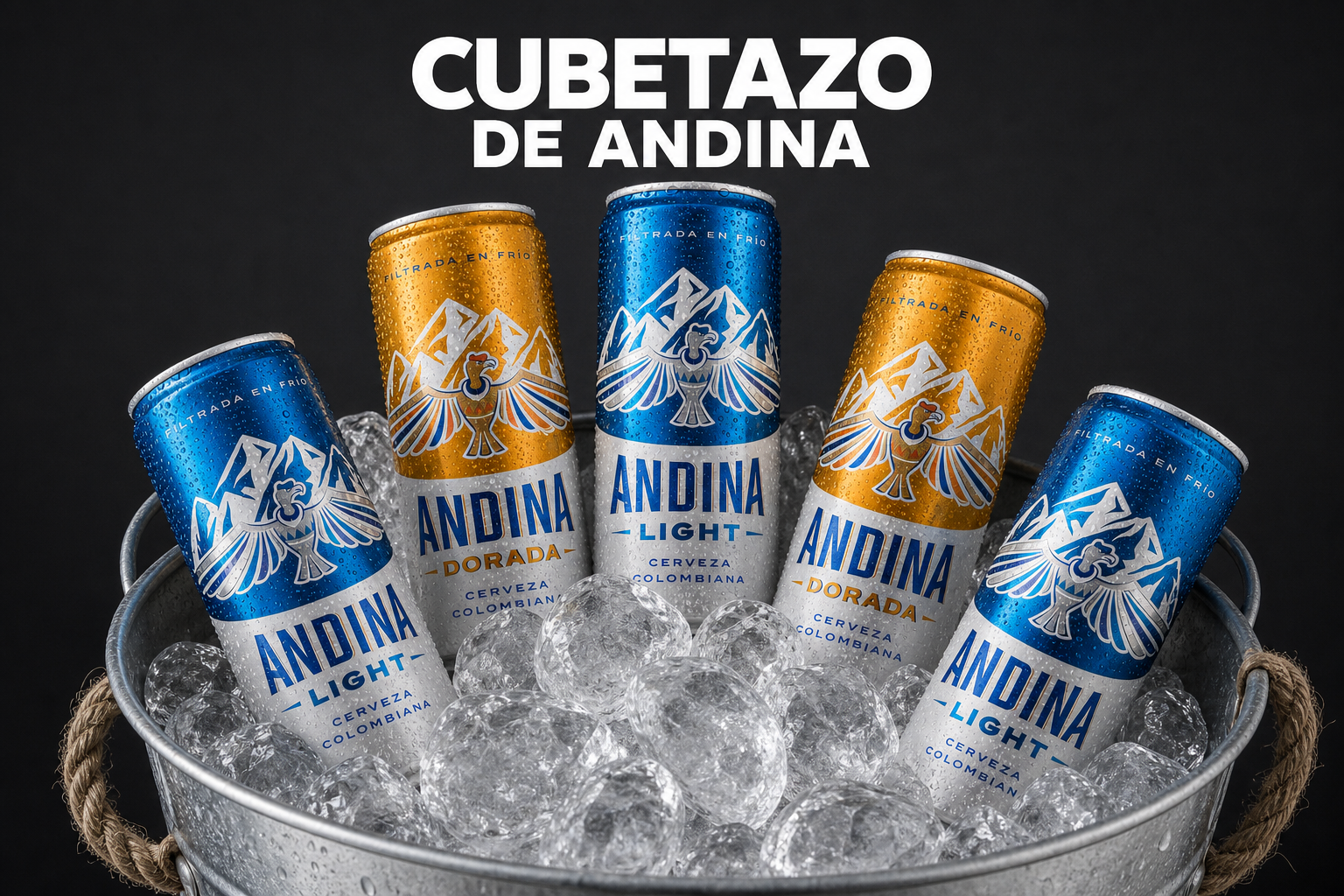 Andina x5